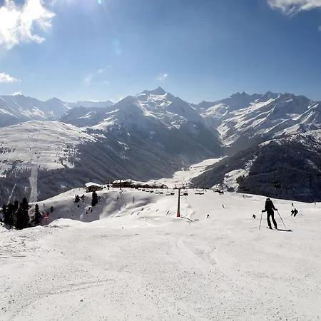 In Near Area Wald im Pinzgau