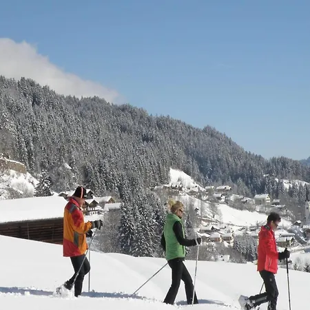 In Near Area * Wald im Pinzgau